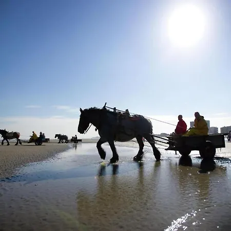 In With Sea Views ニーウポールト