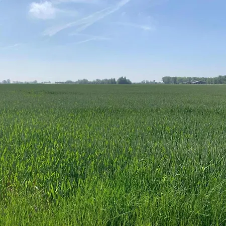 In With Sea Views Lägenhet